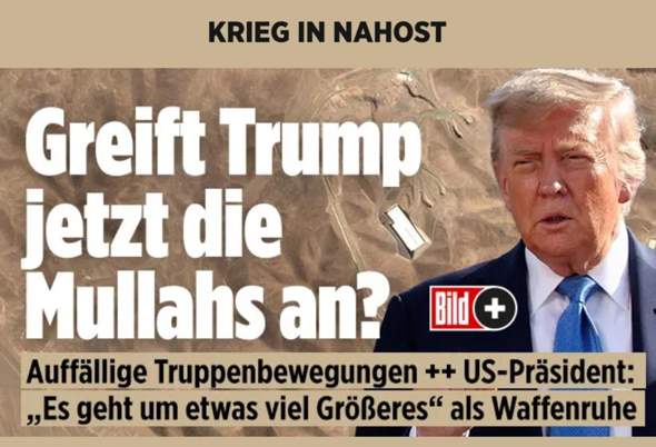 Bild zum Beitrag