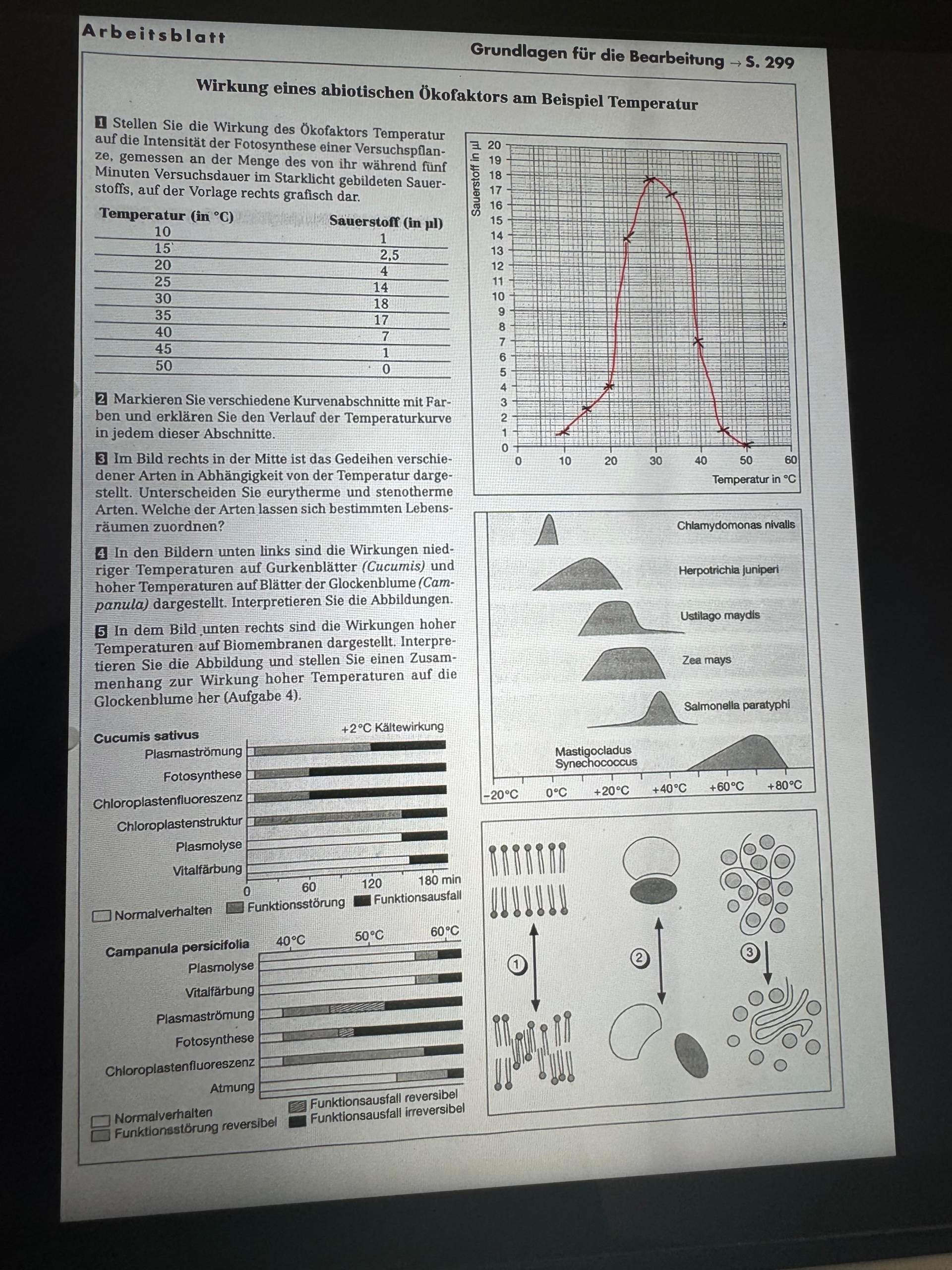 Wirkung Eines Abiotischen ökofaktors Am Beispiel Temperatur Wirkung eines abiotiscgen Ökofaktores am Besipiel Temperatur? (Biologie