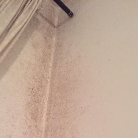 Sieht aus wie Schimmel oder so - (Haus, Farbe, Schimmel)