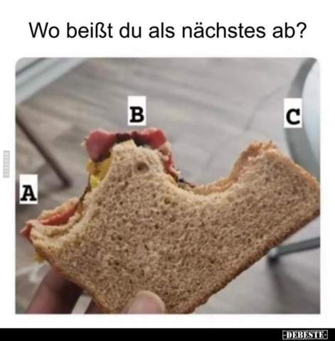 Bild zum Beitrag