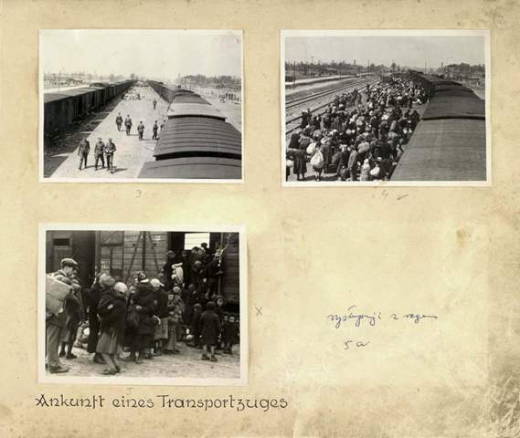 Wo bekomme ich die Bilder aus dem Auschwitz-Album her?