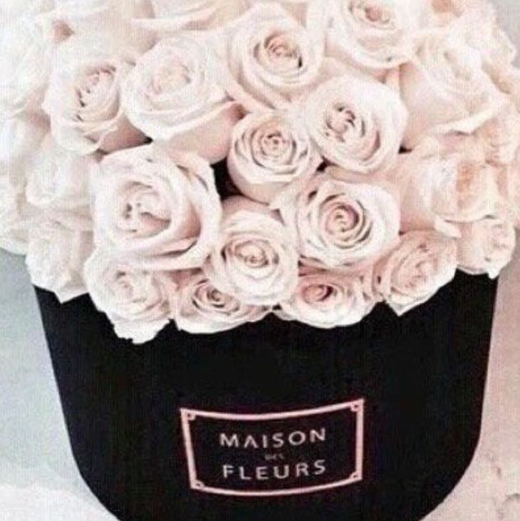 Wo bekomme ich Rosen in einer Box ? (Freizeit, Blumen) Wo bekomme ich Rosen in einer Box ? (Freizeit, Blumen)