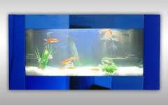Wo gibt es diese wandaquarien zu kaufen (Aquarium, Wand)