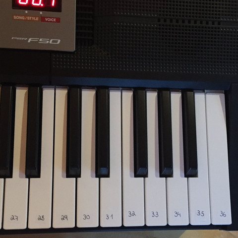 Wo Ist Die C3 Taste Bei Diesem Keyboard Piano