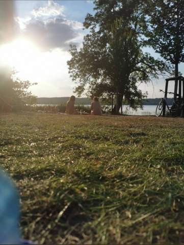 Bild zum Beitrag