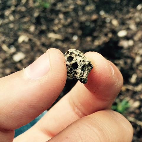 Wo kann ich nach gucken lassen ob ich einen richtigen stein vom mond gefunden habe? (Steine)