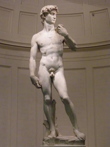 David von Michelangelo aus Carrara-Marmor - (Kunst, Künstler, Carrara-Marmor)