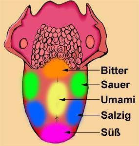 Wo Kann Man Mal Testen Wie Der 5 Geschmack Umami Schmeckt Essen Kochen Kuche
