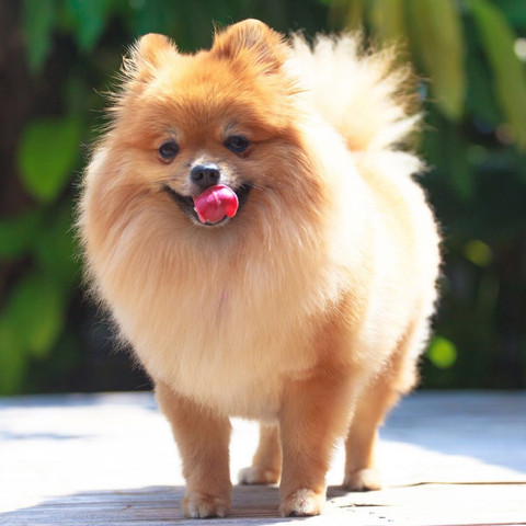 Mit geld verdienen Mit geld verdienen