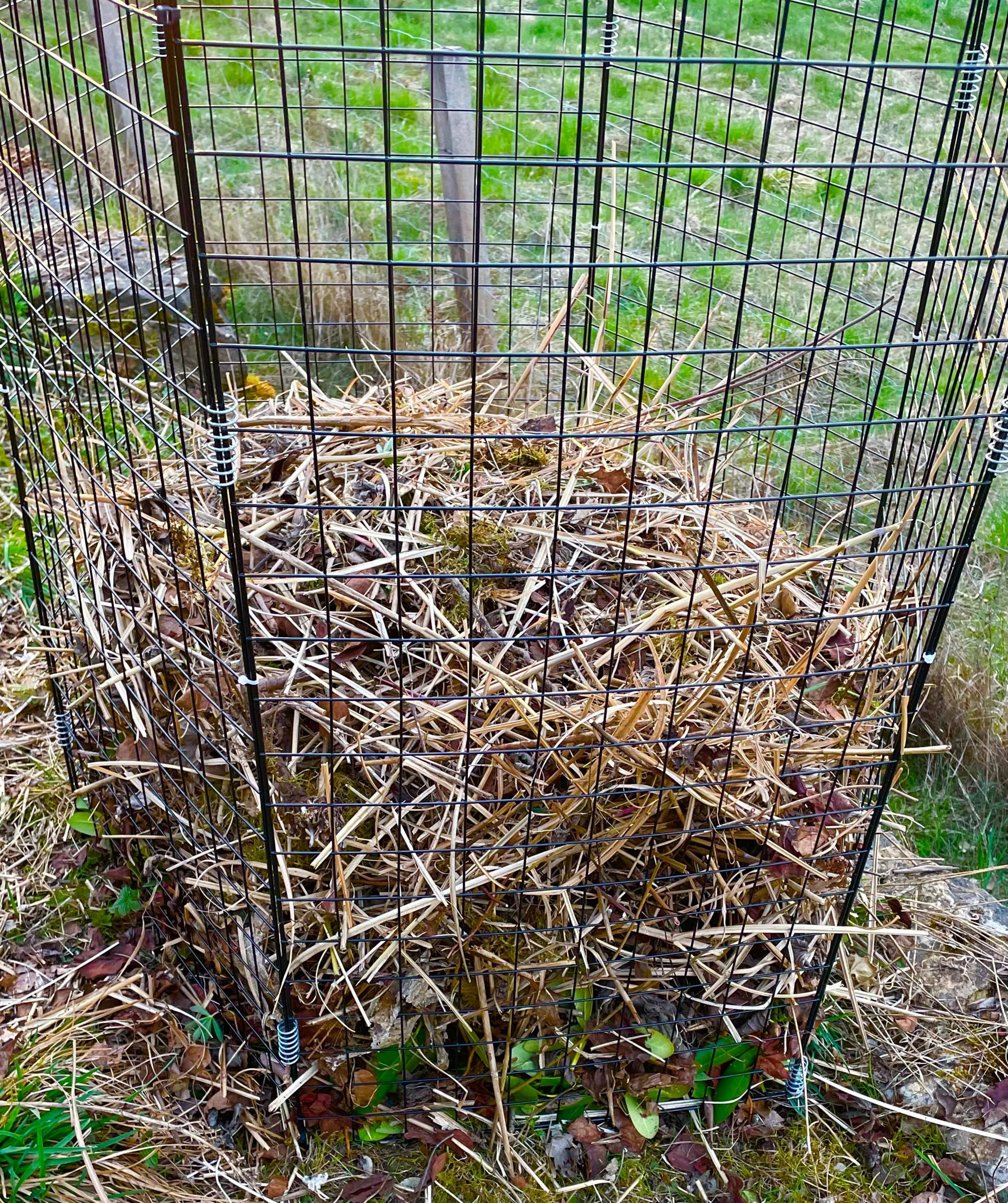 Wo lange dauert es, bis mein Kompost zu humusreicher Erde wird? (Humus)