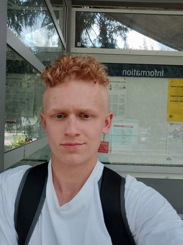 Bild zum Beitrag