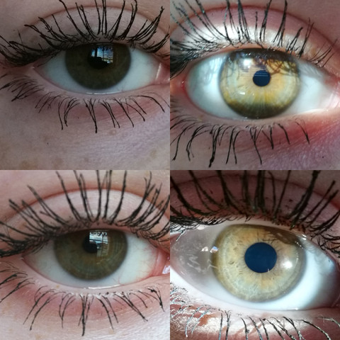 - (Körper, Augen, Farbe)