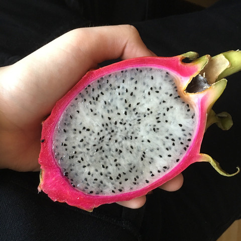 So sieht die Frucht aus
- (Stecklinge, Drachenfrucht, Pitaya)