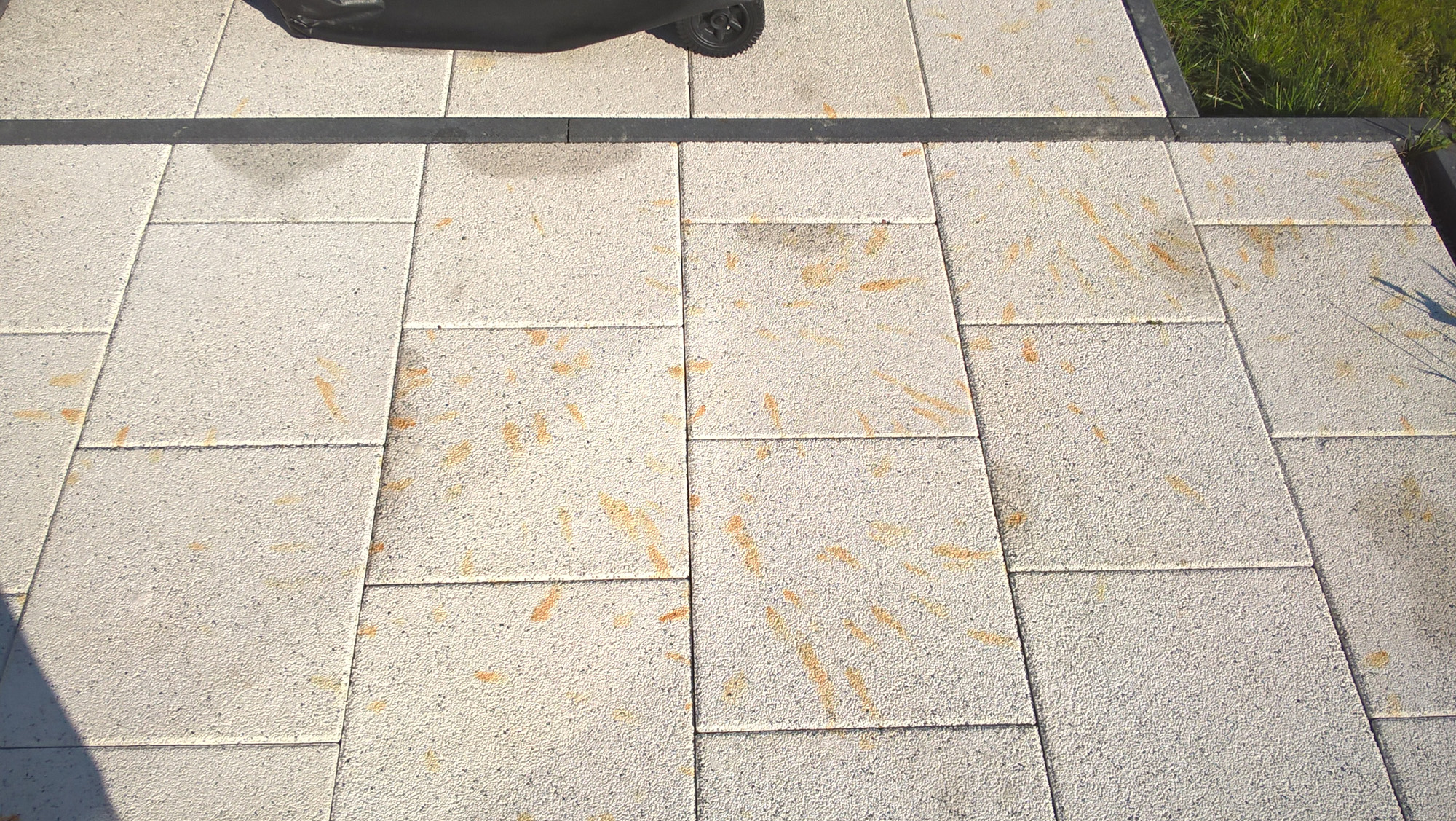 Woher kommen die "Flecken" auf den Terrassenplatten? (Garten, Terrasse)
