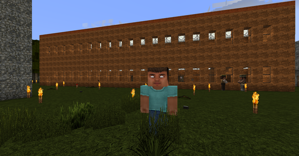 Die Figur - (Minecraft, spawn)