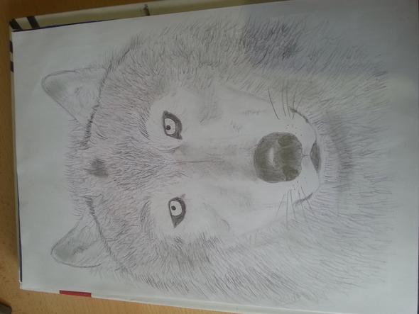 Mein Wolfskopf - (Kunst, zeichnen, malen)