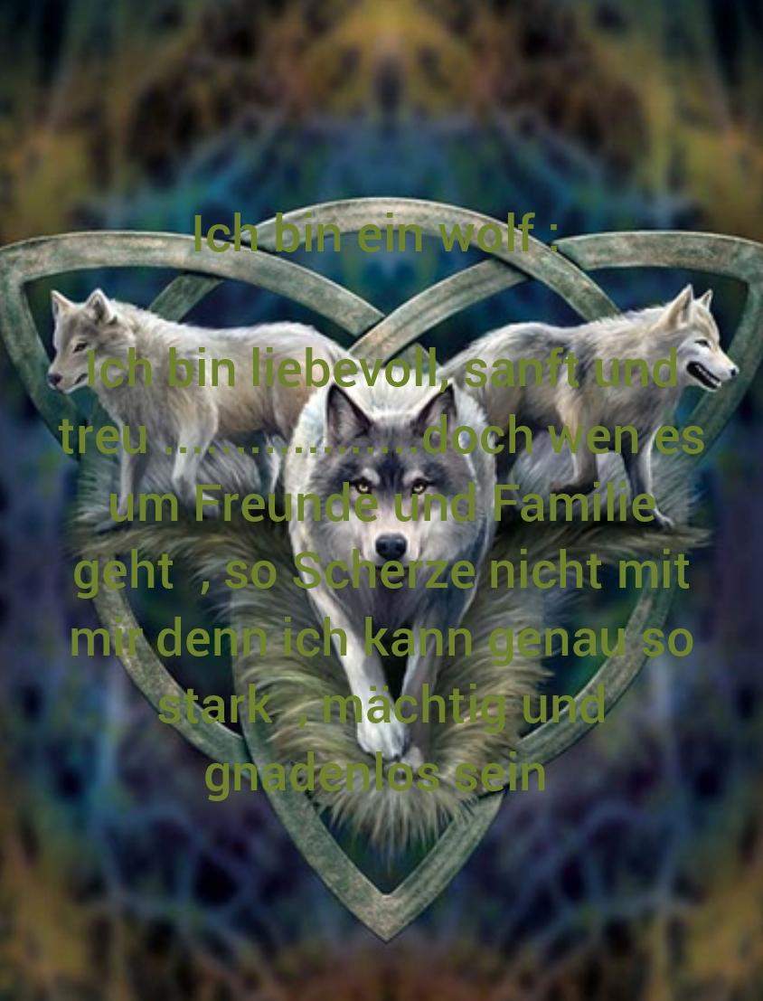 Wolf spruch? (Sprüche, Warrior Cats, Wölfe)