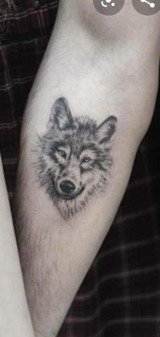 Wolf Tattoo Welche Kosten Kommen Auf Mich Zu Tatowierung