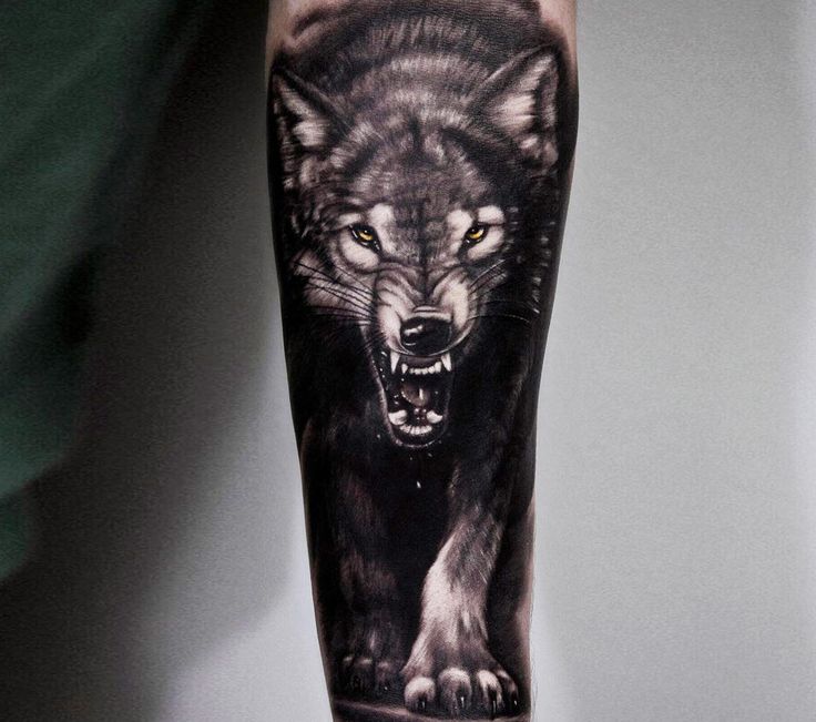 Wolf Tattoo was kostet es ungefähr ? (Kosten, Unterarm)