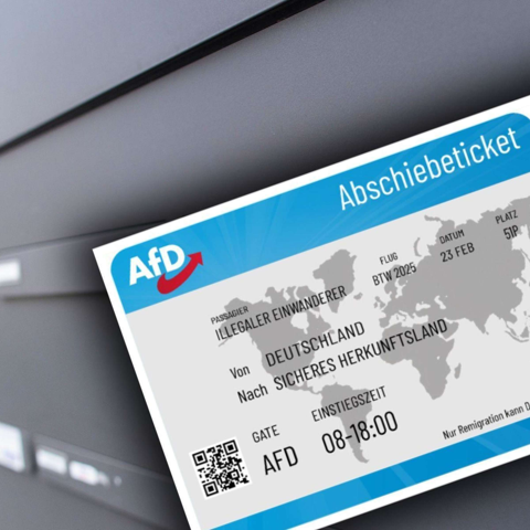 Bild zum Beitrag