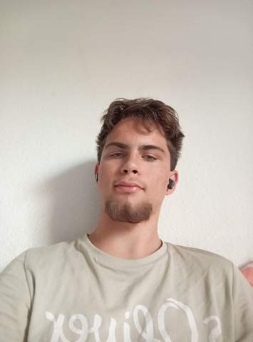 Bild zum Beitrag