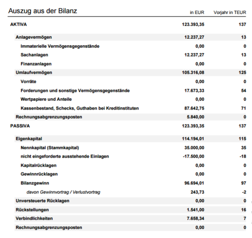 Jahresbilanz - (Finanzen, Unternehmen, Buchhaltung)