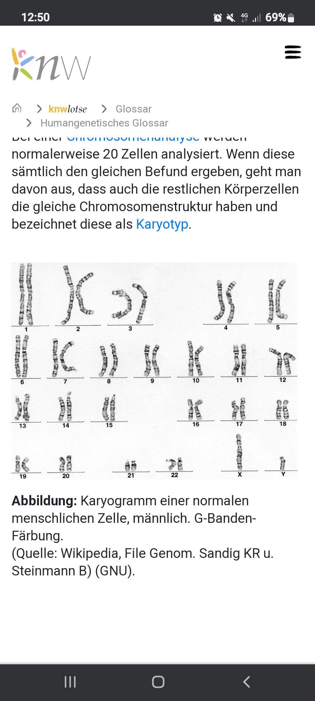 Woran erkennt man bei diesem Karyogramm dass es ein Mann ist? (Biologie
