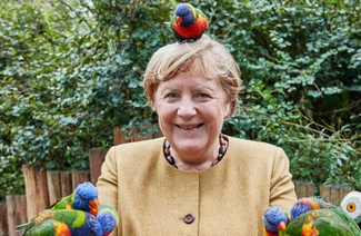 Bild zum Beitrag