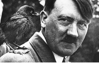 Bild zum Beitrag