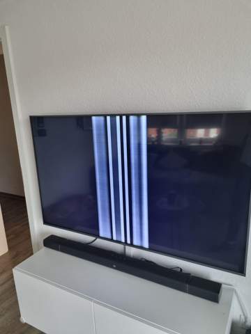 Bild zum Beitrag
