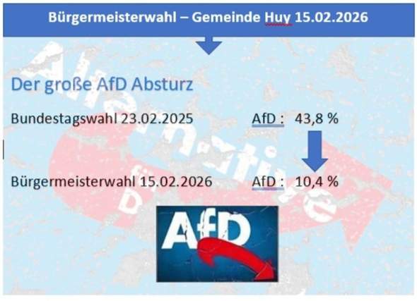 Bild zum Beitrag