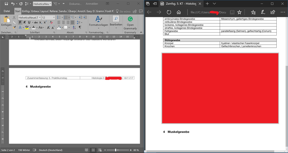links: gewolltes Dokumentlayout, rechts: Dokument, wie es in PDF verschoben wird - (Computer, Technik, Technologie)