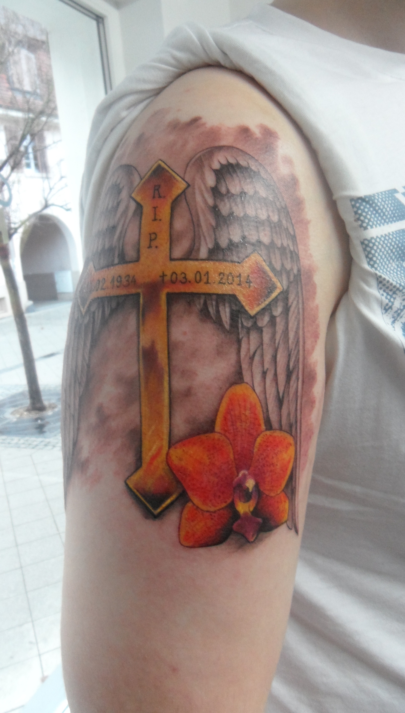 Worin unterscheidet sich Bepanthen W&amp;H Salbe und Pegasus Pro Tattoo