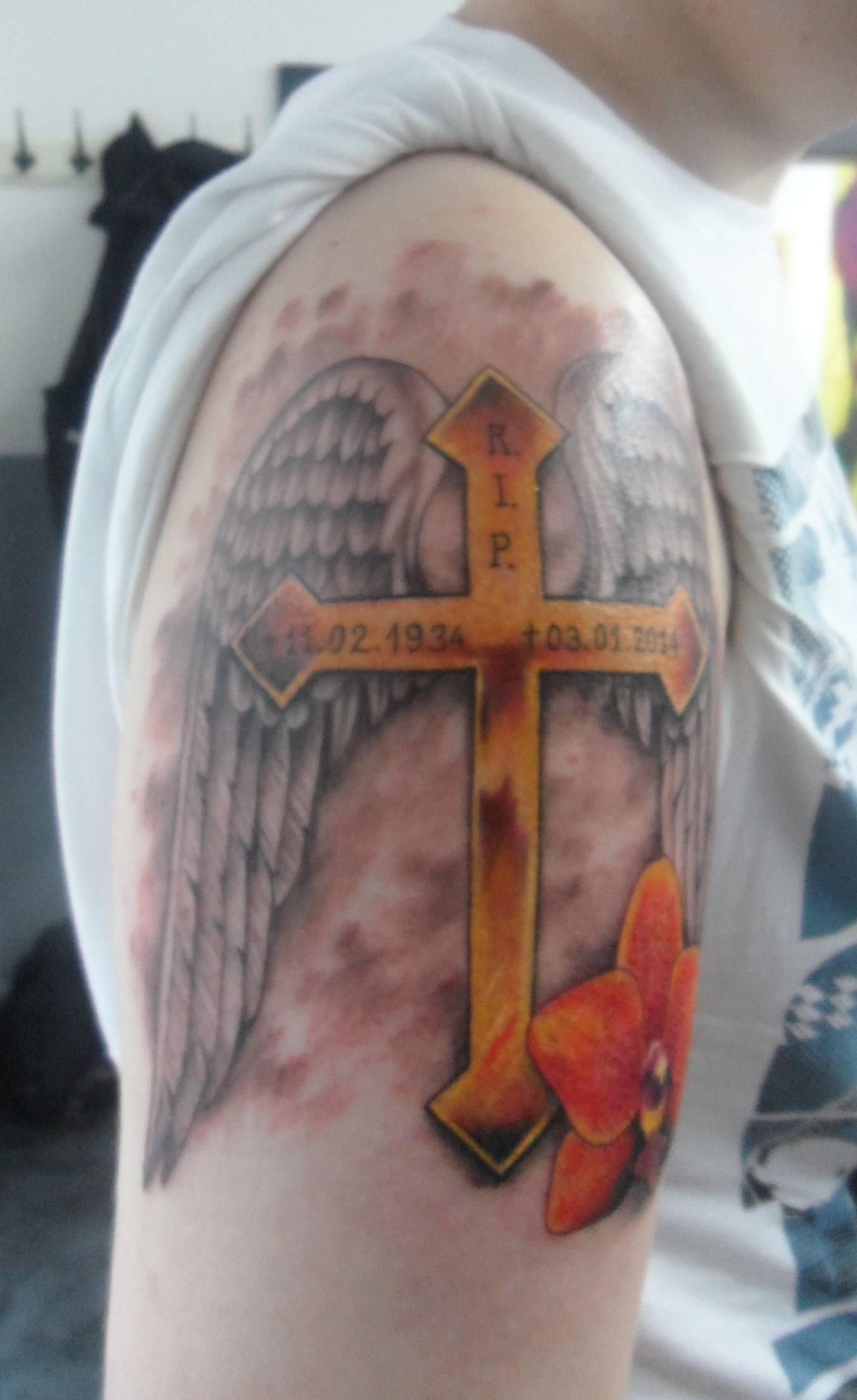 Worin unterscheidet sich Bepanthen W&amp;H Salbe und Pegasus Pro Tattoo