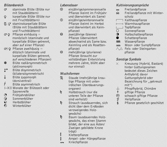 Botanische Zeichen - (Pflanzen, Botanik)