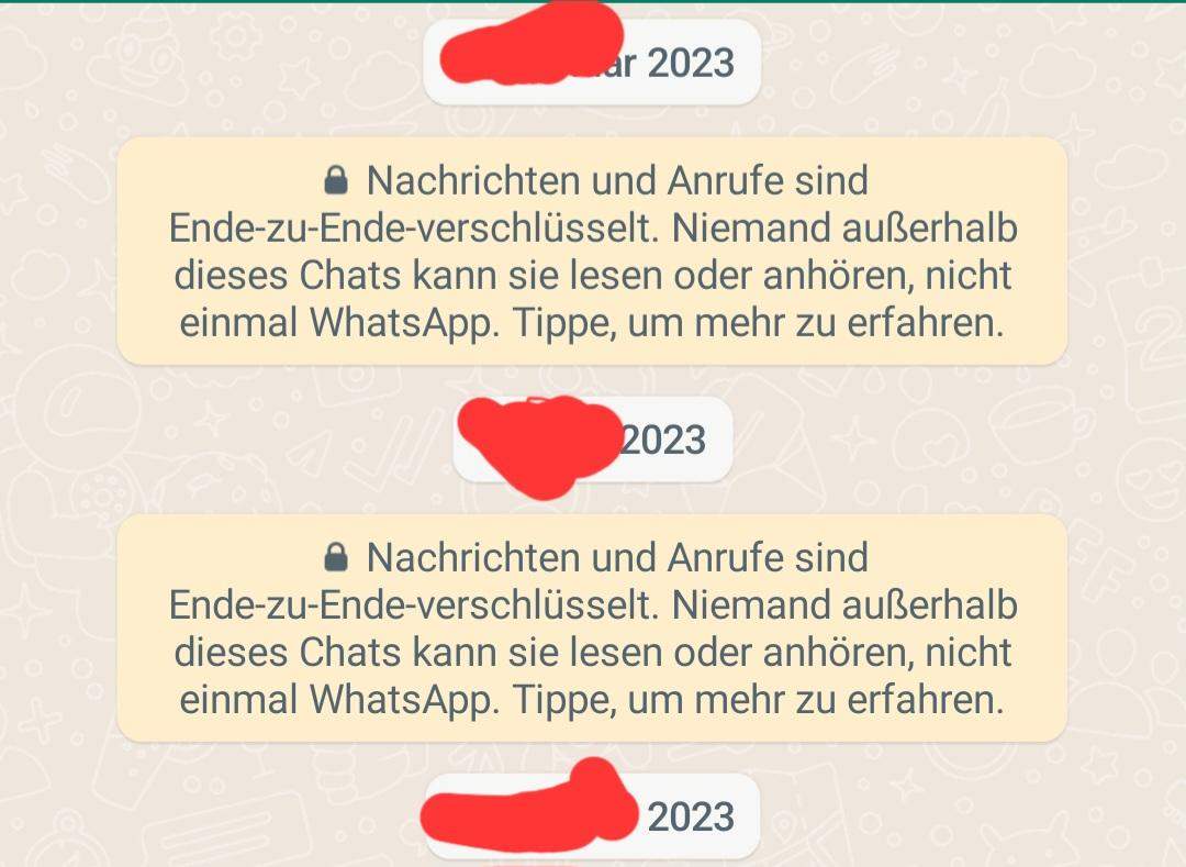 Wqs bedeutet die doppelte ende zu ende Verschlüsselung bei whatsapp? (Chat)