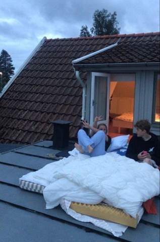 Bild zum Beitrag