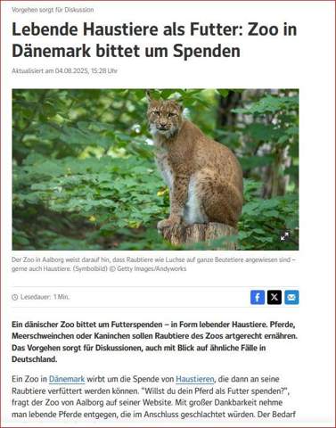 Bild zum Beitrag
