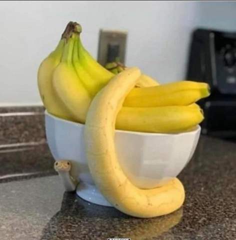 Würdest du dich trauen da eine Banane rauszunehmen?