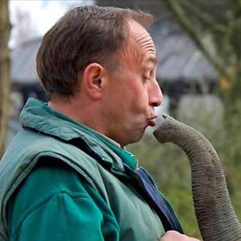 Bild zum Beitrag