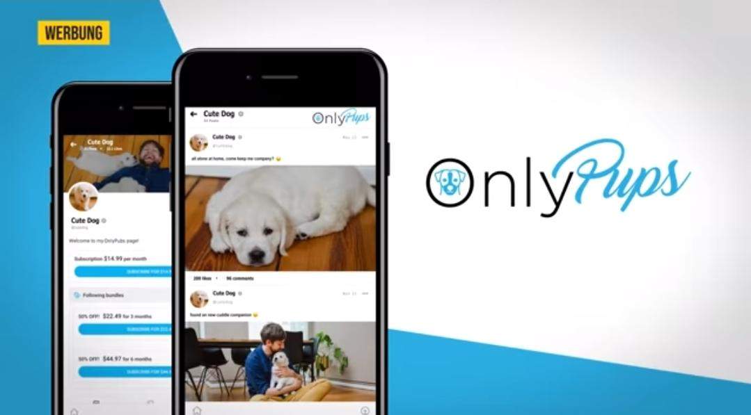 Würdest du OnlyPups nutzen🐶? (Internet, YouTube, Umfrage)