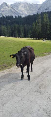 Bild zum Beitrag