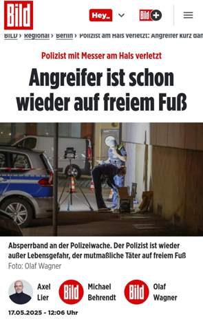 Bild zum Beitrag