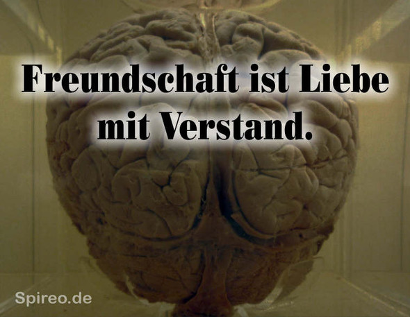 Bild zu Frage