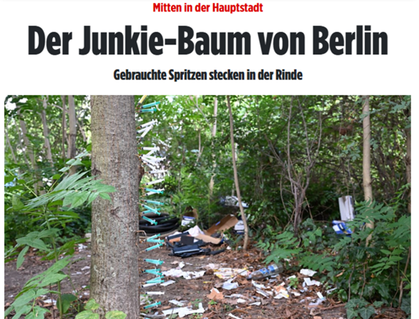 Bild zum Beitrag