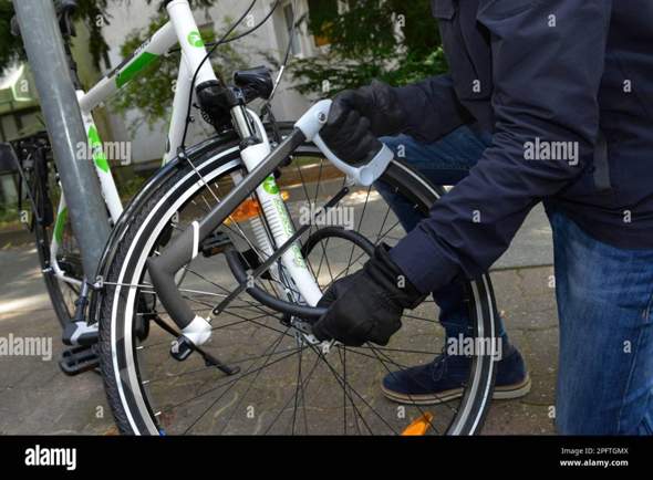 Bild zum Beitrag