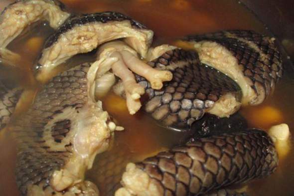 Würdet ihr Schlangensuppe essen?