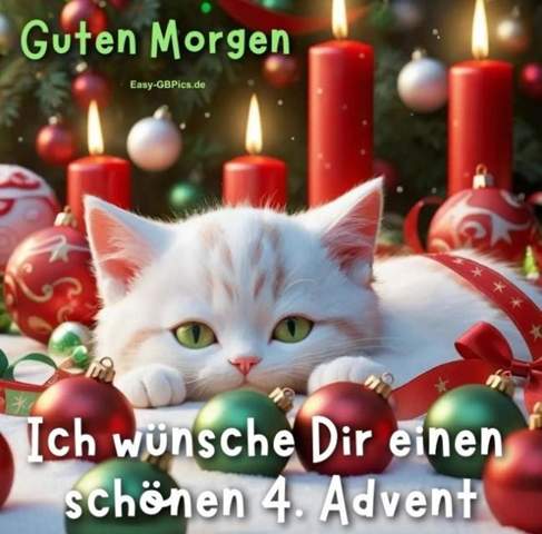Guten Morgen 4 Advent Bilder