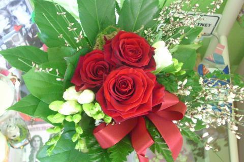 Lang Haltbare Rosen thumbnail