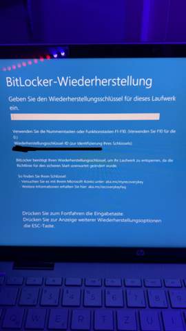 Bild zum Beitrag